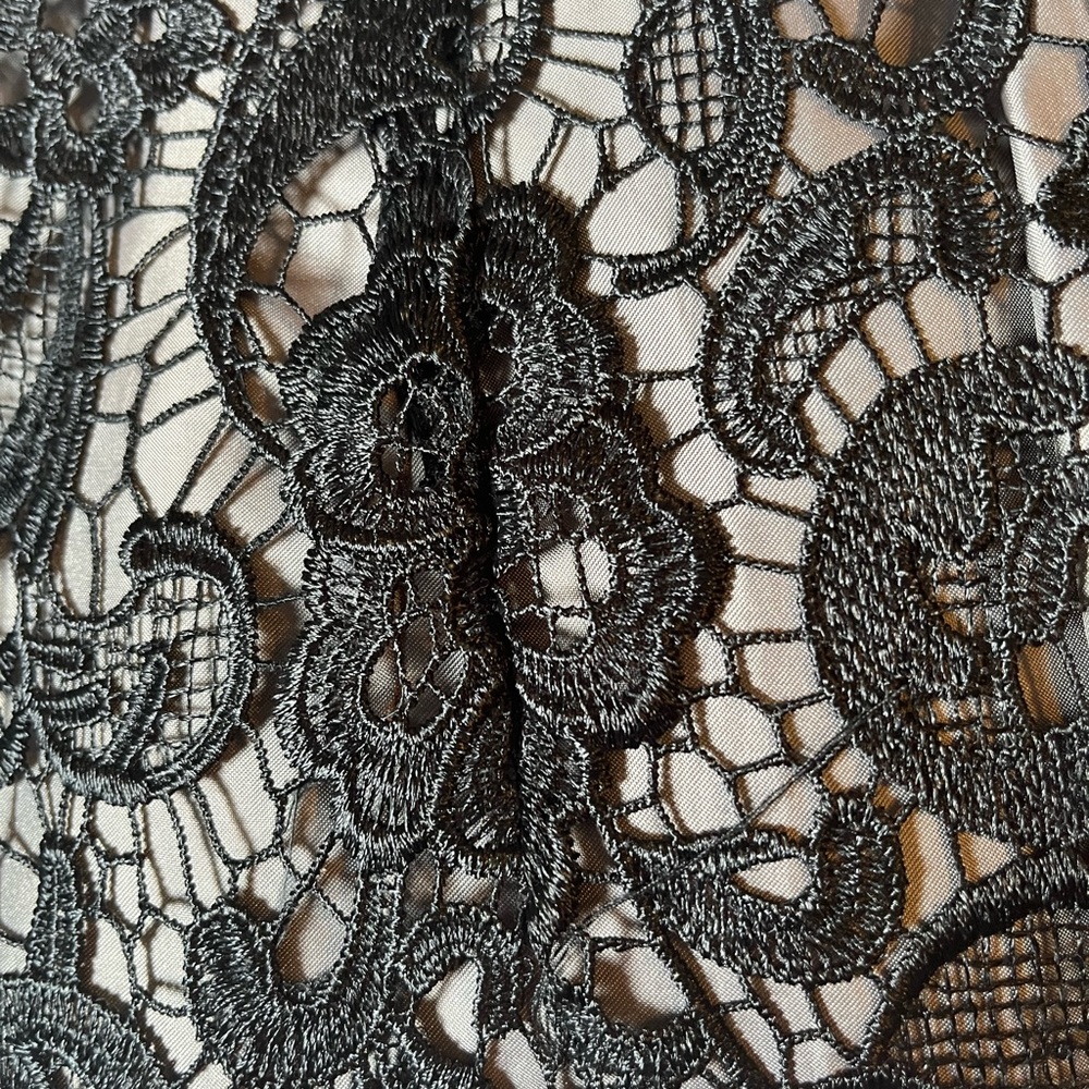 Black lace dress with lining size 10 Lipsy - Picture 5 of 9